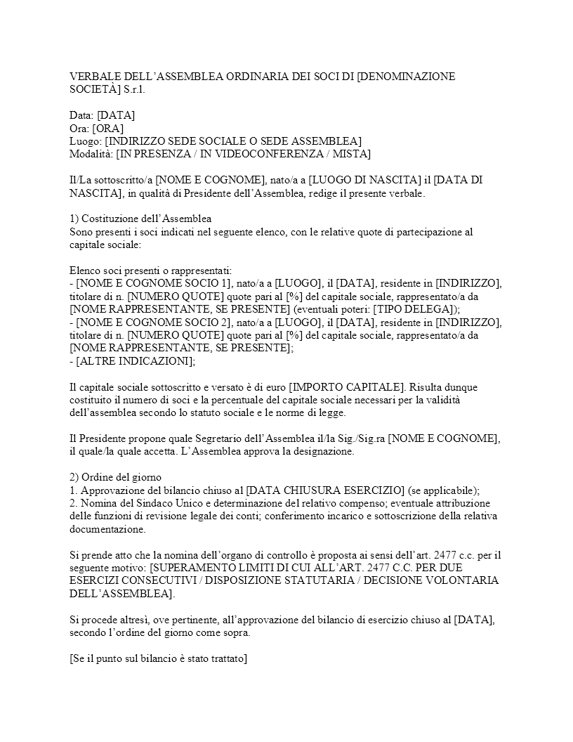 Verbale nomina sindaco unico SRL​