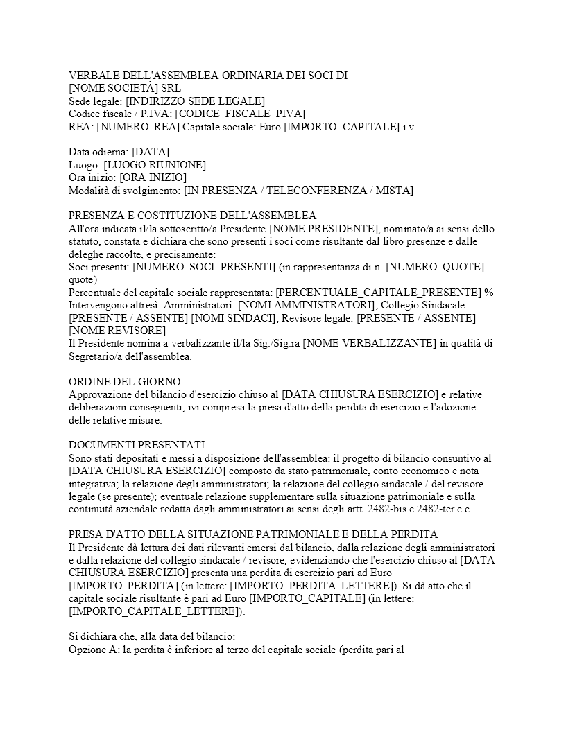 Verbale approvazione bilancio SRL in perdita​