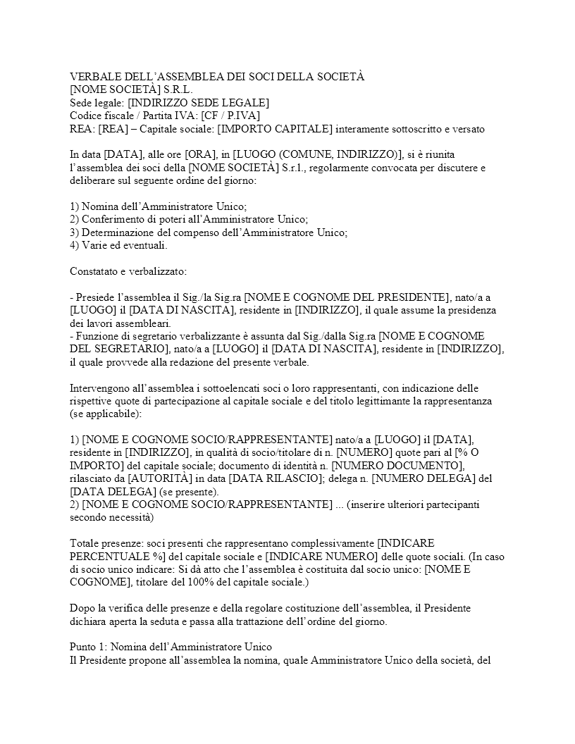 Verbale nomina amministratore unico SRL​